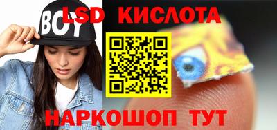 гидропоника Новокубанск