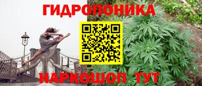 каннабис Новозыбков
