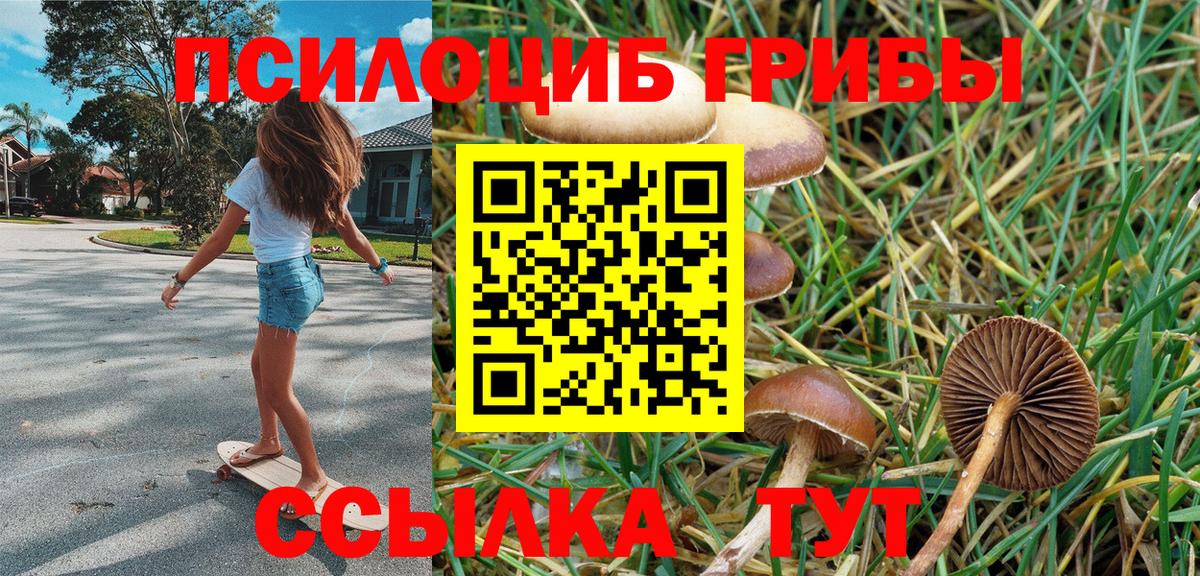 Похвистнево  Псилоцибиновые грибы мухоморы  сколько стоит  Вход с VPN 